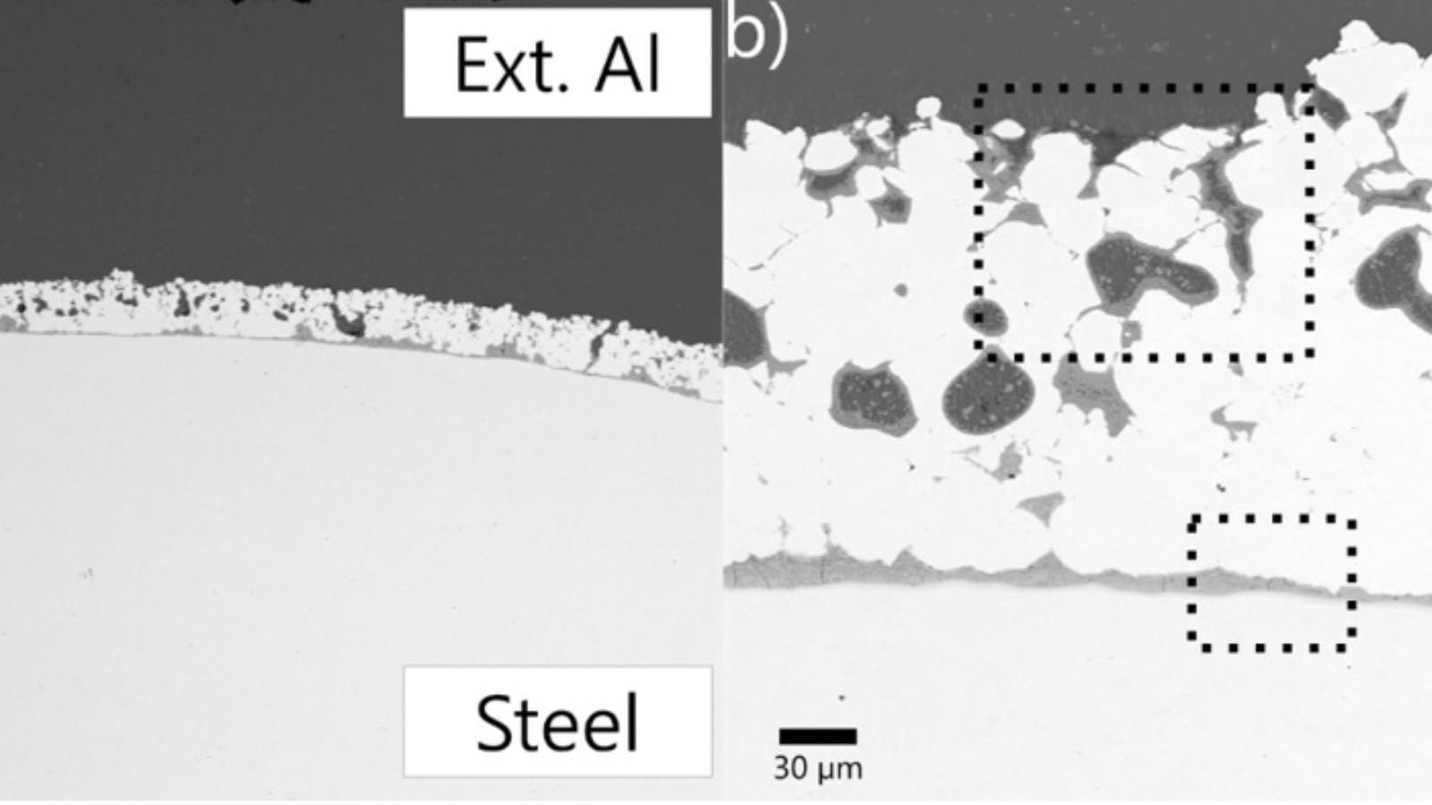 Scanning electron microscope image 